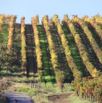 Was in Italien nicht gern gesehen wird