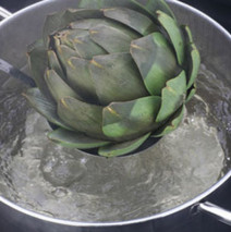 Küchengrundlagen – Mit Wasser kochen