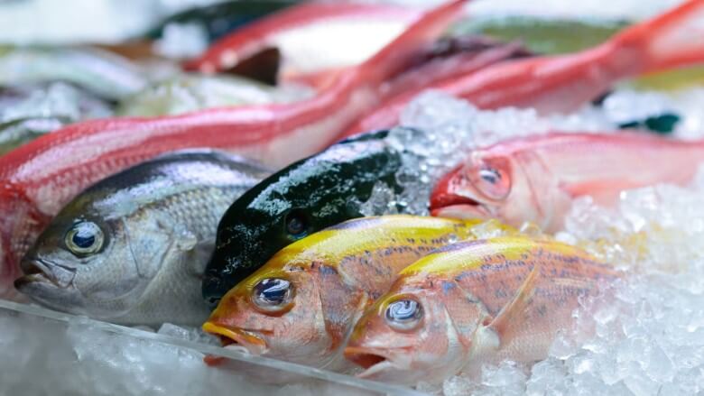 Frischen Fisch erkennen