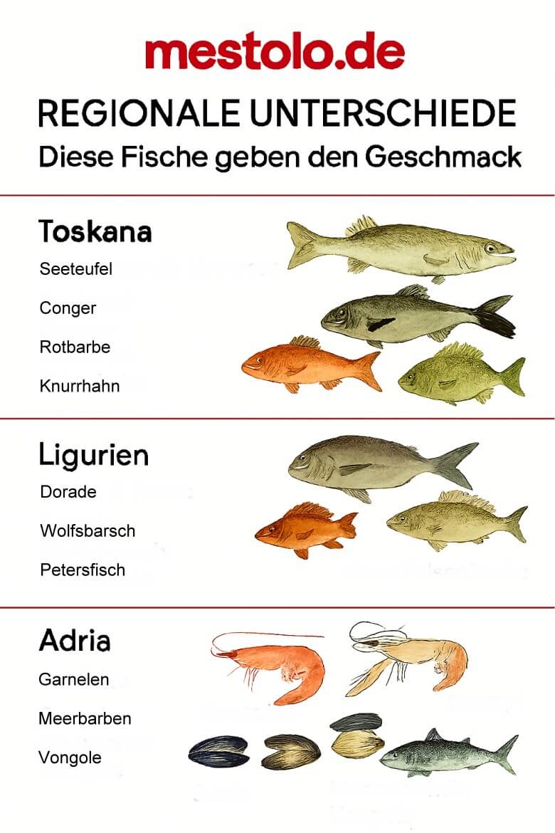 Fischsorten nach Regionen Italien´s