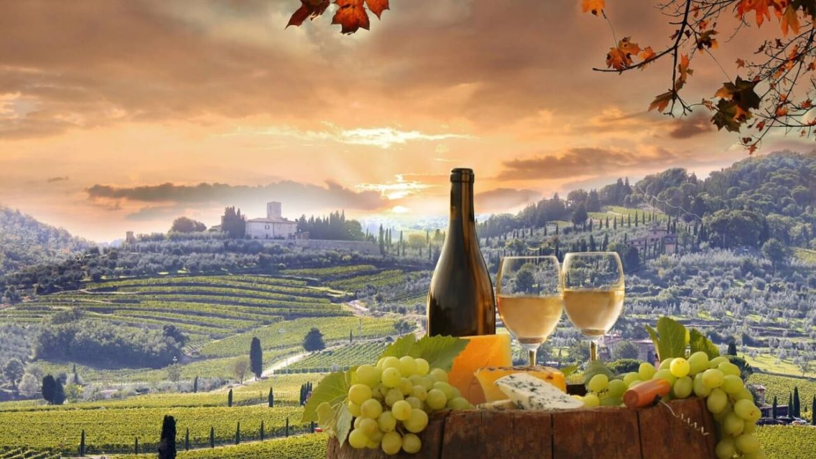 Italienische Weine - Übersicht der Regionen und Rebsorten