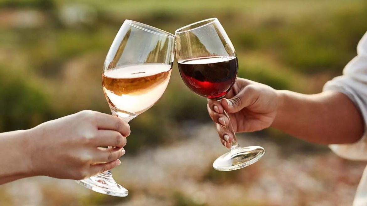 Weinprobe: Was Du über die Weinverkostung wissen solltest